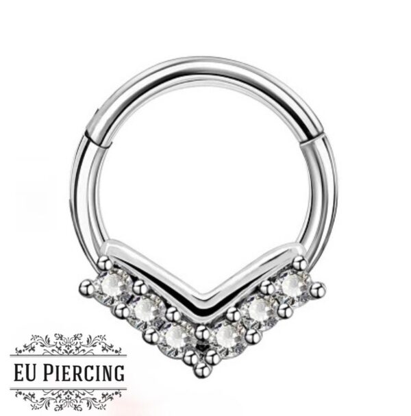 Hinged Ring Piercing